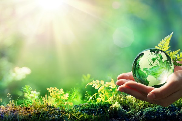 Net Zero Aspirations